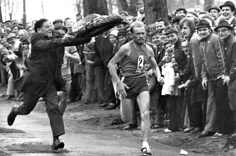 Etpäs onnistunutkaan! Seppo Tuominen kieltäytyi ottamasta seppelettä kaulalleen maratonin viime metreillä. Vanha mestarijuoksija Taisto Mäki yritti kuitenkin ja näin siinä kävi.