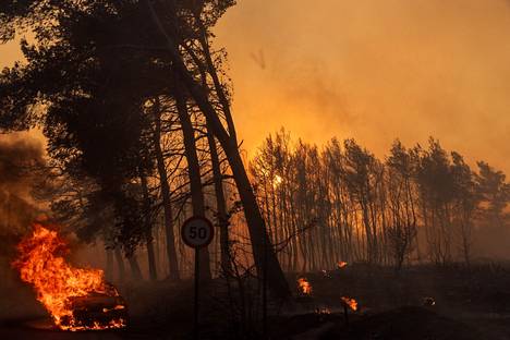 A wildfire set a car on fire in the village of Varnávas on Monday.