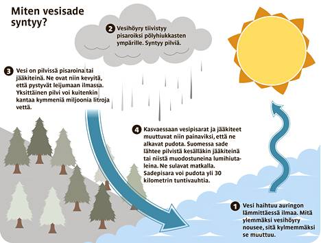 Miten voi sataa sammakoita? - Tiede 