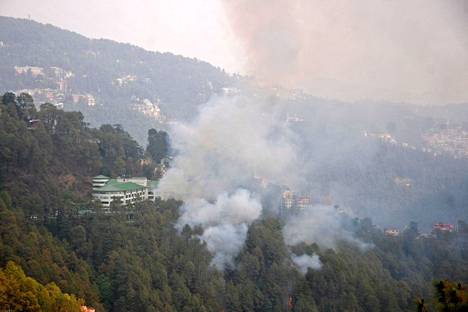 Metsäpalo Shimlan kaupungin alueella Intiassa.