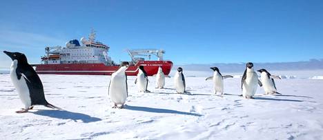 Etelämanteereen lähivesillä näkee lähinnä jäätä –  ja pingviinejä, ainakin Weddellinmerellä.