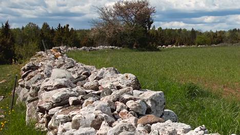 Arkeologia | Arkeologi löysi Ruotsin Öölannista muinaisen linnan – Linnaa on yritetty etsiä useita kertoja, mutta vääristä paikoista