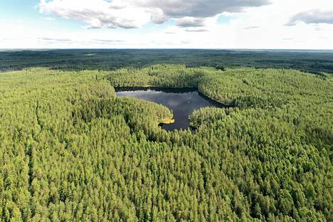 Kuvan Lapinjärvi olisi kuulunut Evon kansallispuistoon, mikä hanke olisi toteutunut. 