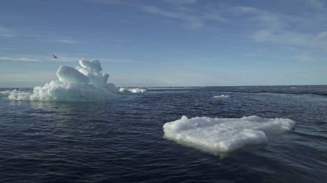 Kelluvaa jäätä Pohjoisella jäämerellä syyskuussa 2020.