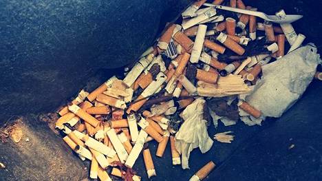Jaakko Nurmi keräsi 143 tupakantumppia lyhyeltä kadunpätkältä ja tulistui roskaamiseen – ”Eivät maadu ikinä”