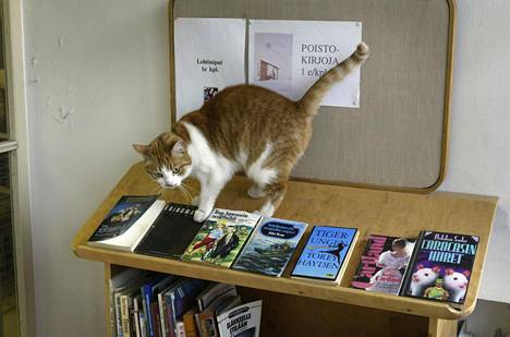 Käpylän kirjastossa järjestetään pitkin vuotta erilaisia tilaisuuksia, esimerkiksi kirjailijatapaamisia. Vuonna 2004 kirjastossa oli myös kissa.