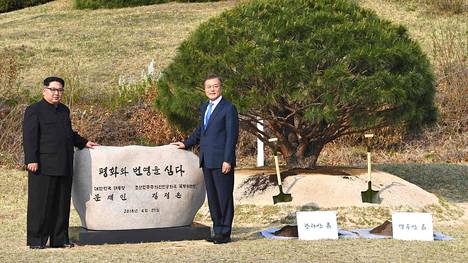 Vitsailua ohjus­testeistä, käden­puristus muurin yli ja puun istutus rauhan eleenä – näin Etelä- ja Pohjois-Korean johtajien historiallinen tapaaminen on edennyt