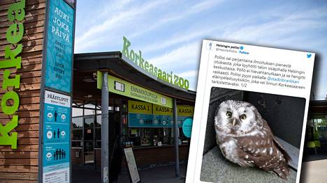 Poliisi tiedotti pöllöstä Twitterissä. Lintu vietiin hoidettavaksi Korkeasaareen.
