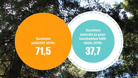 Suomen hiilipäästöt saisi nollaan nopeasti – Näillä keinoilla se tapahtuisi, ja yksi on ylitse muiden