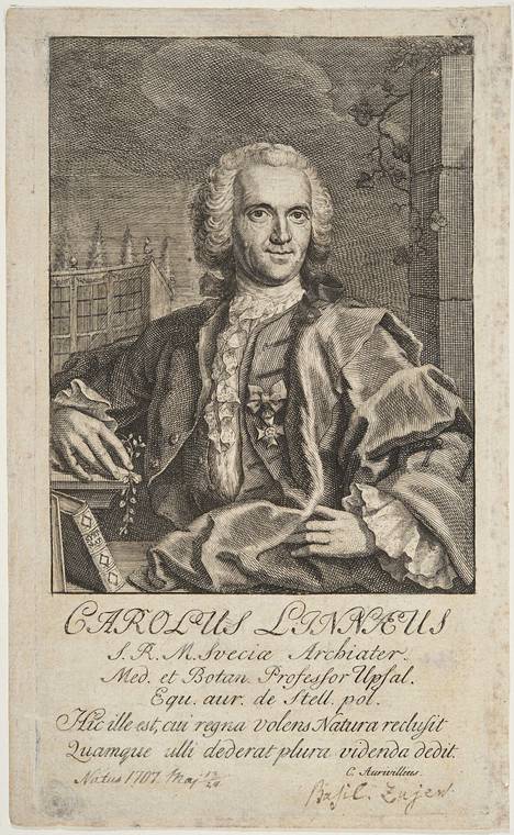 Carl von Linné (1707–1778) oli kasvitieteilijä, joka oli kiinnostunut myös ihmisten seksuaalielämästä.
