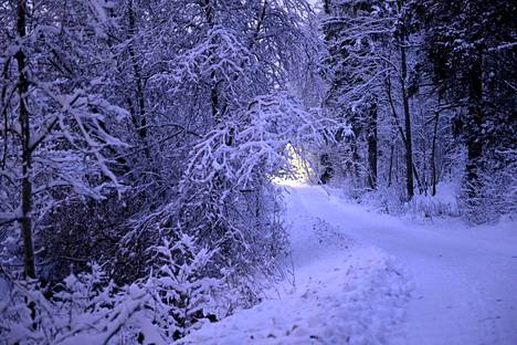 Luminen polku Espoossa torstaina.