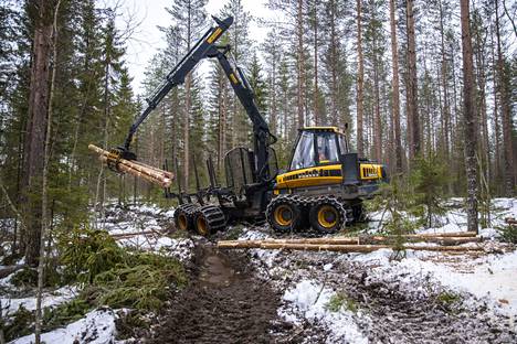 Metsäkone Kuopion Maaningalla tammikuussa 2020.