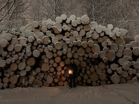 Luonnonsuojelijat ottivat ennen loppiaista kuvia puupinoista Träskändan metsässä, kun he kävivät pitämässä paikalla hiljaisen kynttilämielenosoituksen.