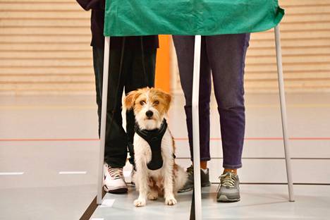 Ruotsissa äänestettiin sunnuntaina valtiopäivävaaleissa. Lapset ja koiratkin olivat tervetulleita äänestyskoppiin.