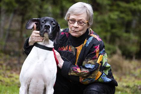 Inkeri Elomaa viettää syntymäpäiviä fasaanijahdissa koiransa Hirvasvuopion Lennon kanssa. Se on jo Elomaan perheen seitsemäs pointteri.