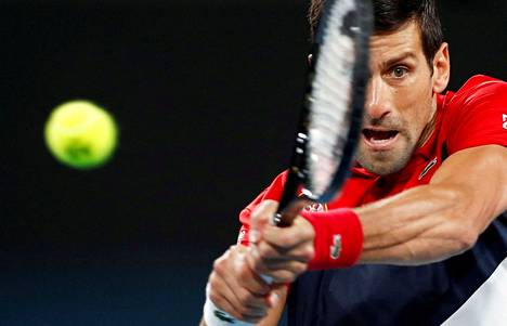 Novak Djokovic pelasi  tenniksen ATP Cupissa Australiassa tammikuussa 2020. 