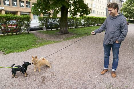 Ville Niinistön Rusko-koira tapasi Hesperianpuistossa Sylvin.