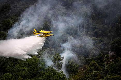 Paloviranomaisten sammutuslentokone tiputti vettä metsäpaloon lähellä Busteloa Portugalin pohjoisosassa 16. heinäkuuta.