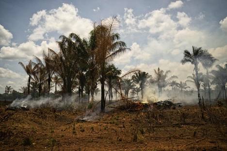 Maanviljelijät polttivat laittomasti sademetsää Amazonia halkovan moottoritien varressa Brasiliassa lokakuussa 2014. Sademetsät sitovat hiiltä, ja niiden tuhoaminen aiheuttaa hiilidioksidipäästöjä.