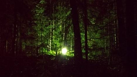 Metsässä hohtava valo on melko piilossa, mutta Ariel Neulaniemen lenkkipolun varrelta se erottuu iltaisin selvästi.