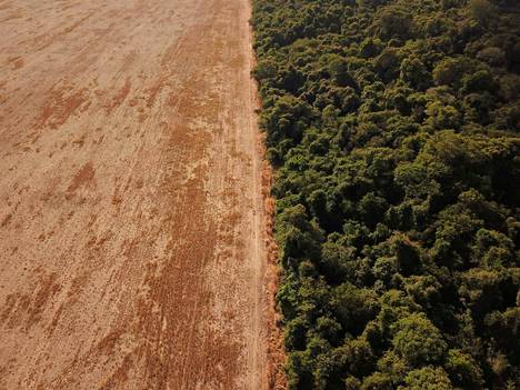 Sopimusta on allekirjoittamassa myös Brasilia, jossa on suurilla alueilla kaadettu Amazonin sademetsää. Kuvassa Amazonian sademetsää heinäkuussa.