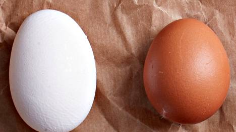 XL-munien ja M- tai L -kananmunien välillä on selkeitä eroja. Kookkaammat kananmunat ovat vanhempien kanojen, pienemmät nuorempien kanojen munia.