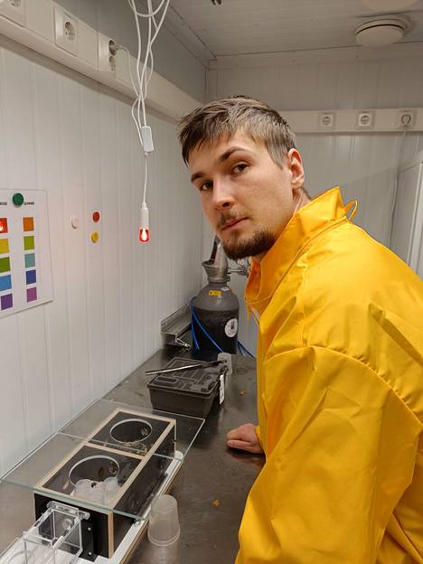 Kimmo Kaakinen's research focuses on bumblebees.  The picture shows two nests.