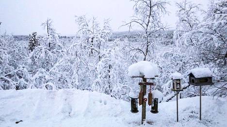 Sää | Utsjoella mitattiin talven pakkasennätys, yöllä oli –41 astetta