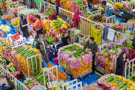 Kiinassa kuluttajien luottamus vahvistui alkuvuodesta, kun koronarajoituksia höllennettiin. Samalla yksityinen kulutus palautui kasvu-uralle. Kuva kukkatorilta Kiinan Kunmingissa.