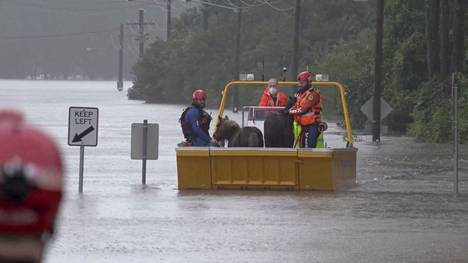 Viranomaiset pelastivat kaksi ponia vedestä Sydneyn lähellä sijaitsevassa Milperrassa 3. heinäkuuta.