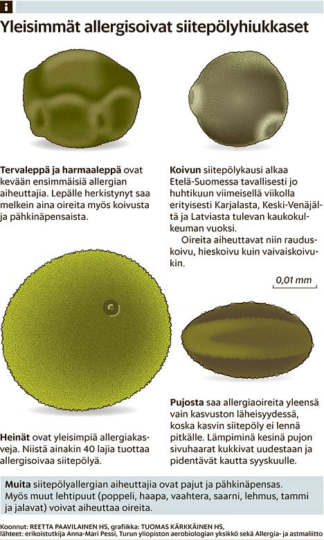 Allergia täytti Lastenklinikan - Kotimaa 