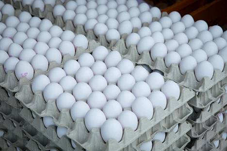 Kananmunat voivat olla terveyttä edistävää ruokaa - jos sattuu omaamaan oikeanlaiset geenit.