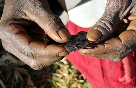 Teriä esiteltiin ennen Sebei-heimon teini-ikäisten naispuolisten jäsenten sukupuolielinten silpomista Ugandan Bukwassa joulukuussa 2008.