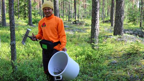 Suomen luonnonmarjoja poimii tänä vuonna ennätykselliset 4 000  ulkomaalaista, kausityöläisiä palkkaaville yrityksille aiempaa tiukemmat  säännöt - Kotimaa 