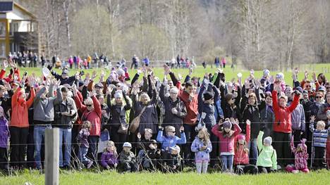 Viikin lehmien laitumelle lasku keräsi jopa 9 000 ihmisen ennätysyleisön – vain osa tilan lehmistä pääsi lauantaina laitumelle