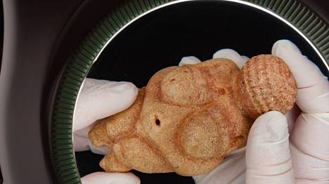 Kalkkikivestä veistetty ja okralla värjätty yksitoistasenttinen Willendorfin Venus löydettiin Itävallasta 1908, ja sen iäksi on arvioitu 29 000 vuotta. Kivi on tutkimusten mukaan peräisin Gardajärven seudulta Pohjois-Italiasta, noin 600 kilometriä patsaan löytöpaikasta.