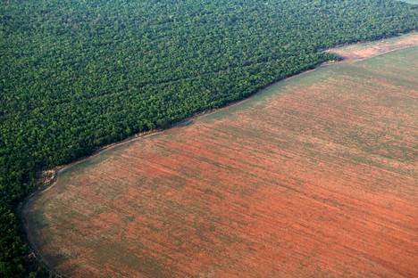Mato Grosson osavaltiosta Brasilissa otetussa kuvassa näkyy soijapellon ja sademetsän raja.