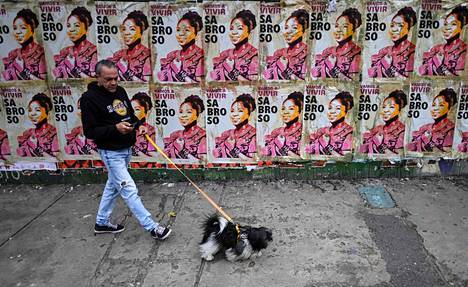 Koiranulkoiluttaja kulki Bogotássa vasemmiston varapresidenttiehdokkaan Francia Márquezin vaalimainosten ohi 16. kesäkuuta. 