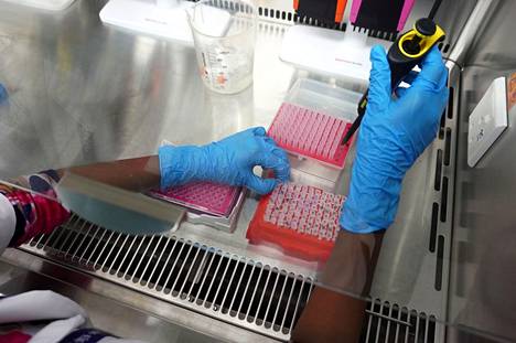 Koronaviruksen eri variantteja sekvensoitiin laboratoriossa Intiassa. Omikronmuunnos vaikuttaa aiheuttavan aiempia variantteja lievempää tautia, mutta se saattaa johtua ihmisillä jo olemassa olevasta immuunisuojasta. Rokotteet todennäköisesti suojaavat vakavalta taudilta myös omikrontartunnassa. 