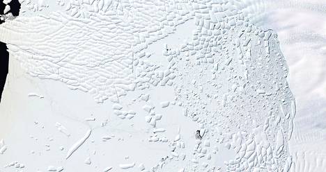 Etelämantereen länsiosissa oleva Thwaites-jäätikön jäähylly näkyy satelliittikuvista rakennetussa kuvassa.