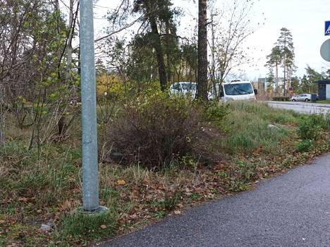 The land next to Rauhalanpuisto Street is used for parking.
