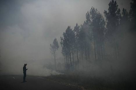 Palomies seisoi savuavan metsän vieressä lähellä Girondeen alueella sijaitsevaa Louchatsin kuntaa 18. heinäkuuta.