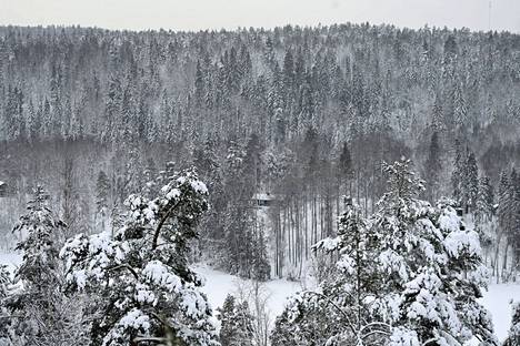 Nuuksiota kuvattuna helmikuun alussa. Polveileva maaston takia alueelle on satanut enemmän lunta kuin moneen muuhun paikkaan.