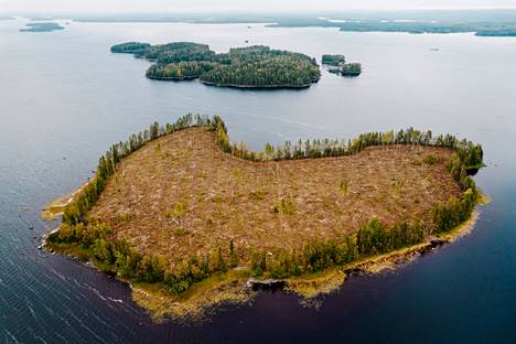 Hakkuuaukko Keurusselän saaressa Keski-Suomessa kuvattiin syyskuussa 2021.