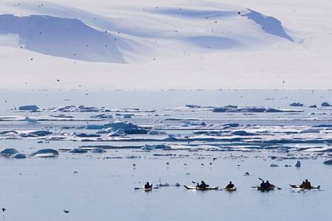 Suomalainen Cinia on etsimässä rahoittajia Luoteisväylän meridatakaapelille, joka kulkisi Norjasta Japaniin Kanadan ja Grönlannin ohi. Kuvassa melojia Pohjoisella jäämerellä Kanadan Nunavutissa heinäkuussa 2019.