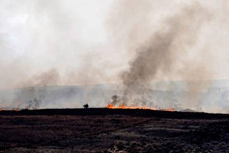 A forest fire is spreading out of control in the northern part of the state of Texas.