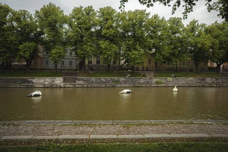 Poliisin mukaan pahoinpitelyt yleisillä paikoilla ovat lisääntyneet. Kuva Turun jokirannasta heinäkuussa 2022.