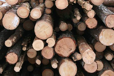 Metsäsertifiointijärjestelmä kieltää Venäjältä peräisin oleva puun vastaanottamisen. 