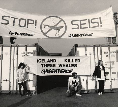Islantilaisten valaanlihakonttien pysäyttäminen kesällä 1988 Helsingin Länsisatamassa oli sysäys Greenpeacen Suomen-osaston perustamiselle seuraavana vuonna.
