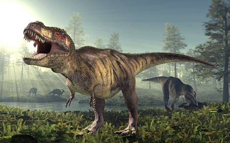 Tyrannosauruksella oli iso ja painava sydän.
